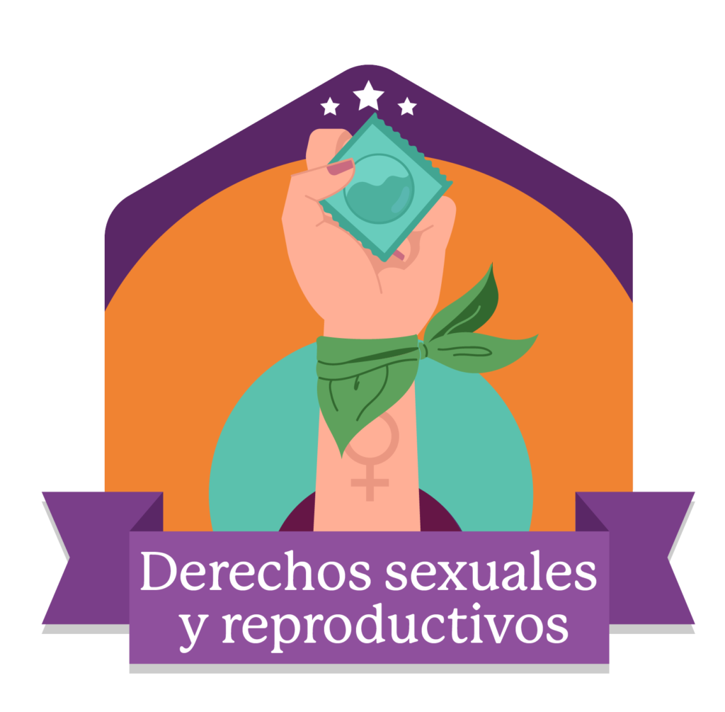 Derechos Sexuales Y Reproductivos Ilsb 4662